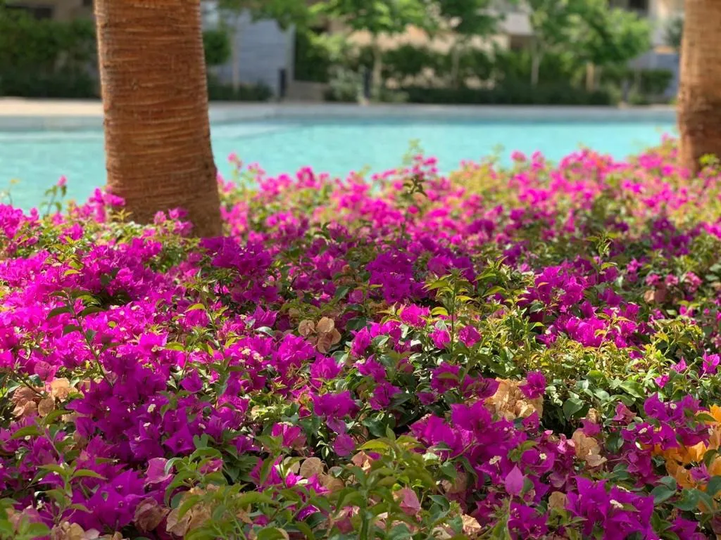  for sale in Lake View Residence in  of 0 m² with 0 bedrooms