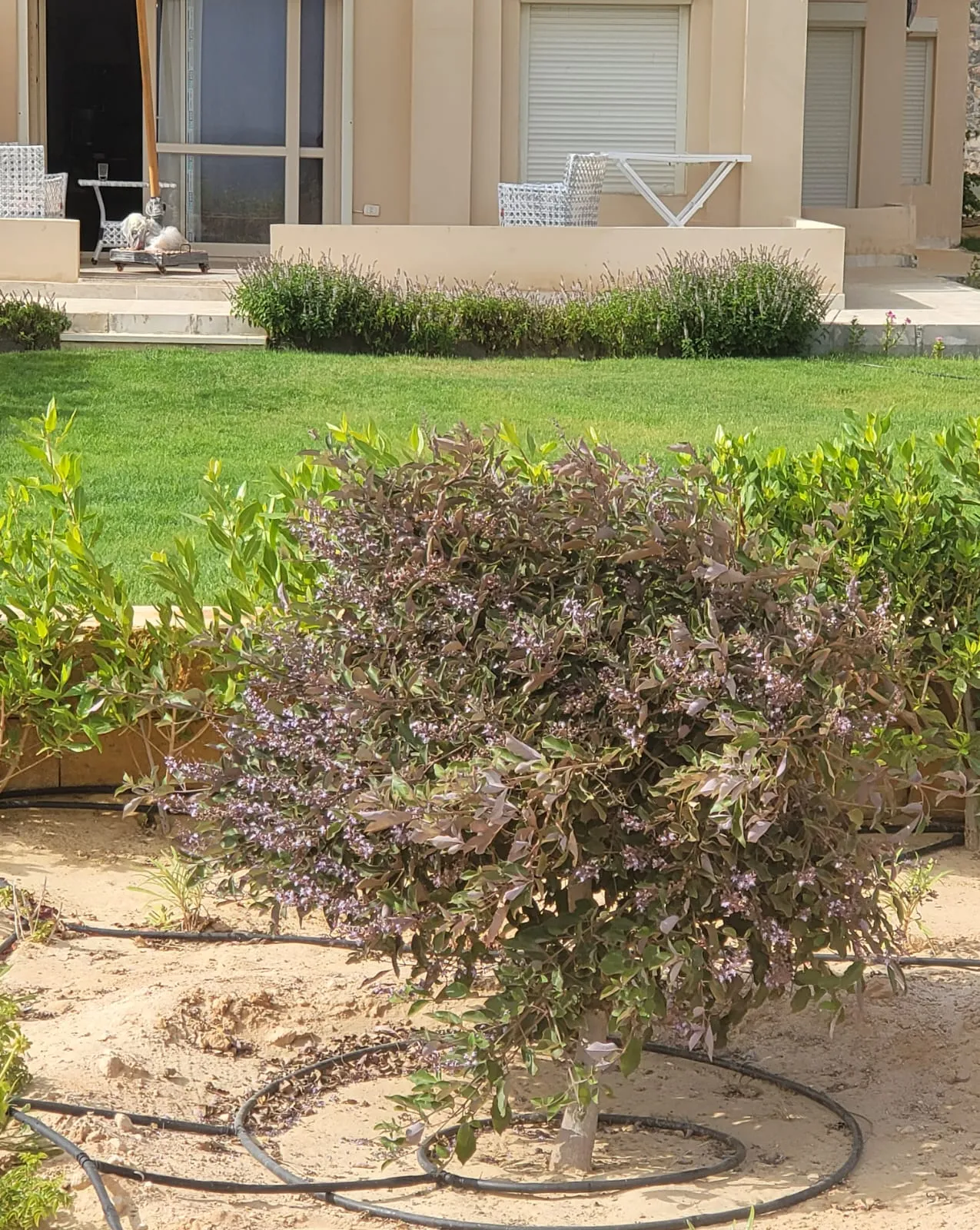 for sale in Coral Hills in of 0 m² with 0 bedrooms
