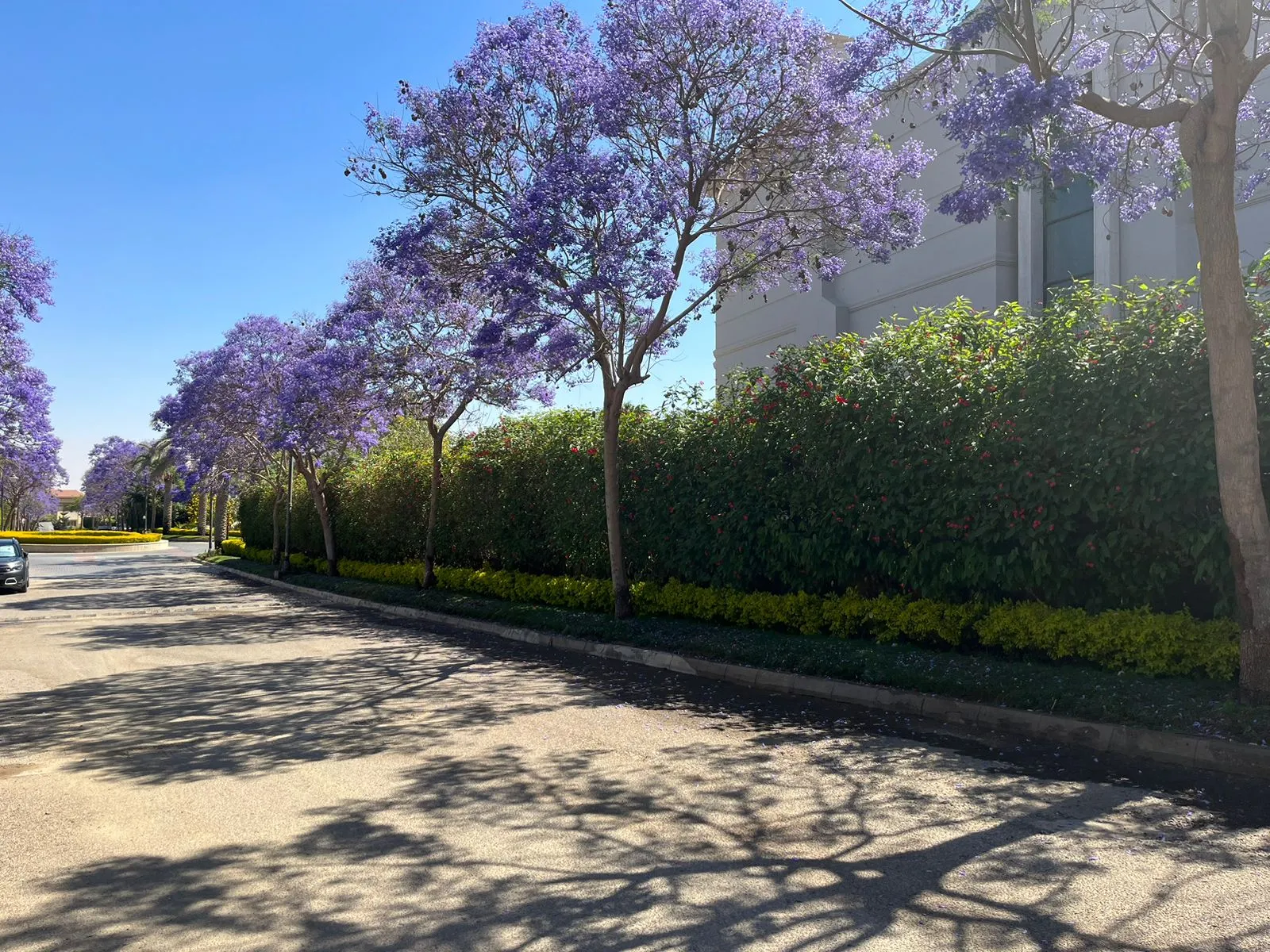 فيلا للبيع في سيزونز في القاهرة الجديدة بمساحة 0 م² تتكون من 5 غرف