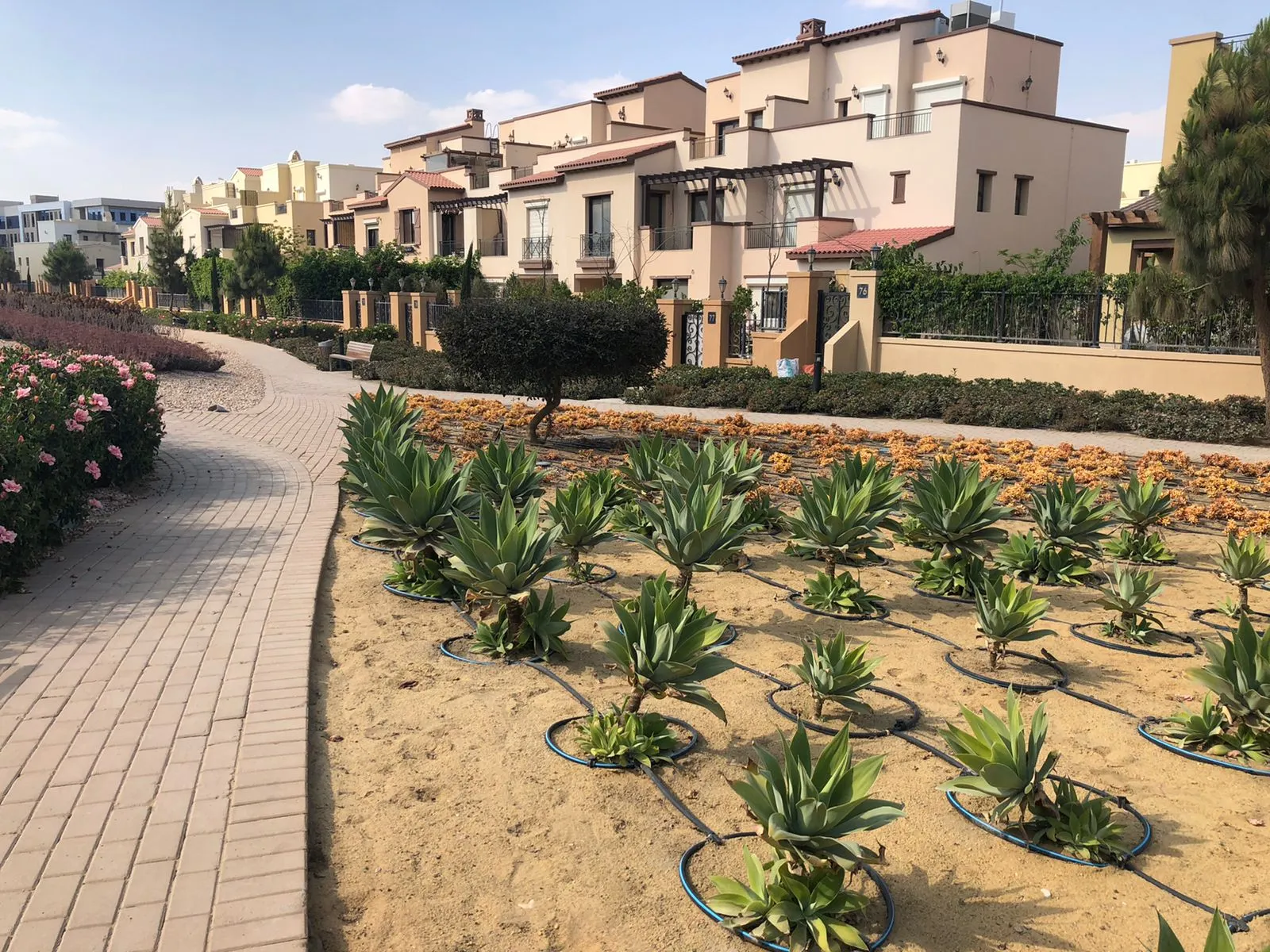  for sale in Mivida in  of 0 m² with 0 bedrooms