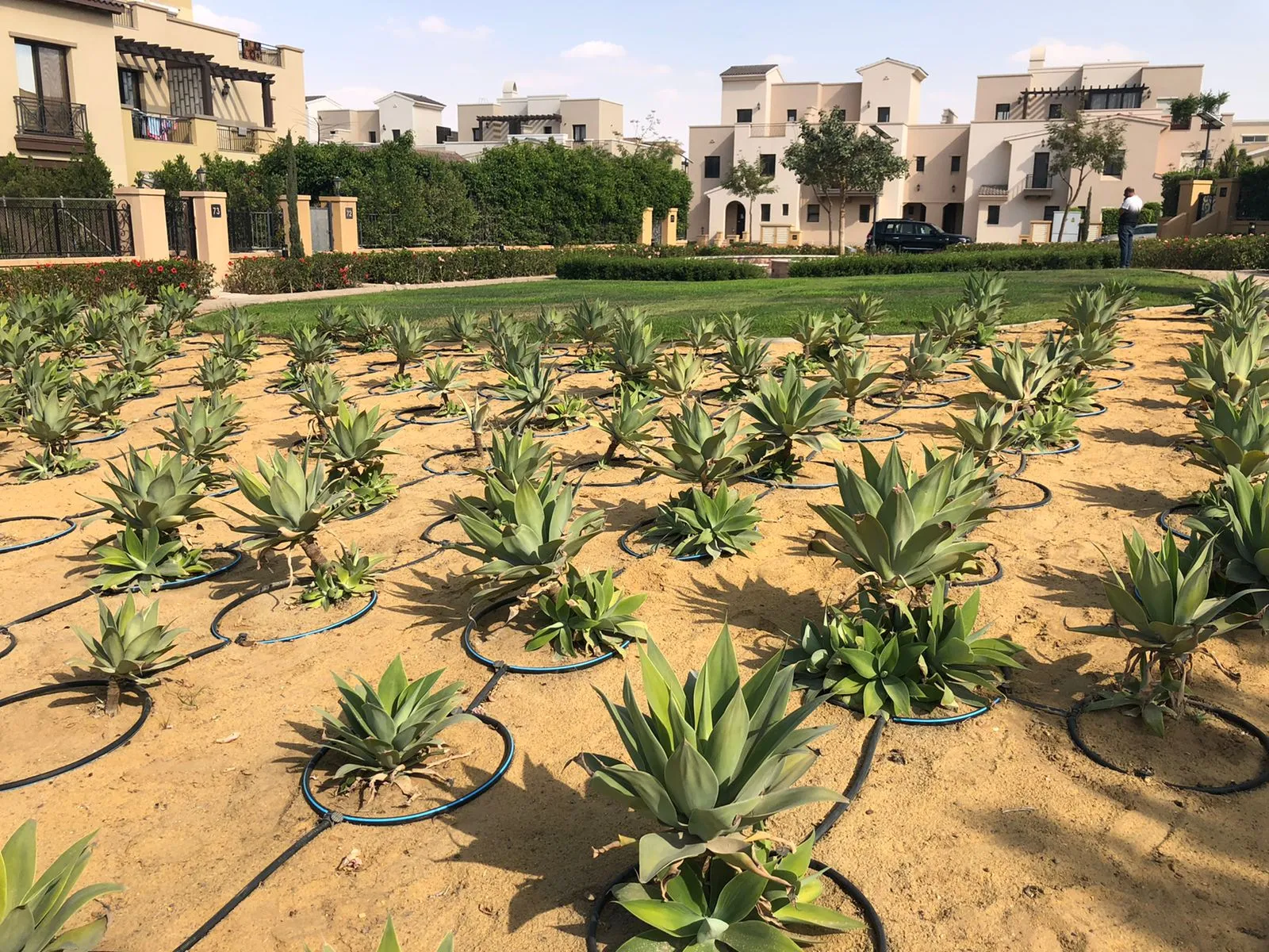  for sale in Mivida in  of 0 m² with 0 bedrooms