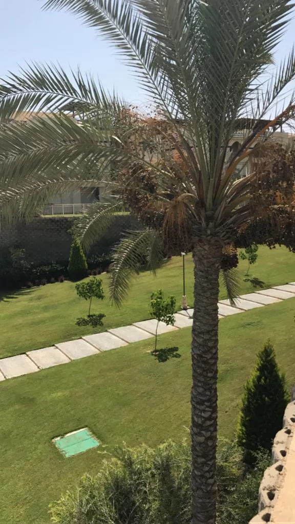  for sale in Stella Di Mare Sidi Abdelrahman 1 in  of 0 m² with 0 bedrooms