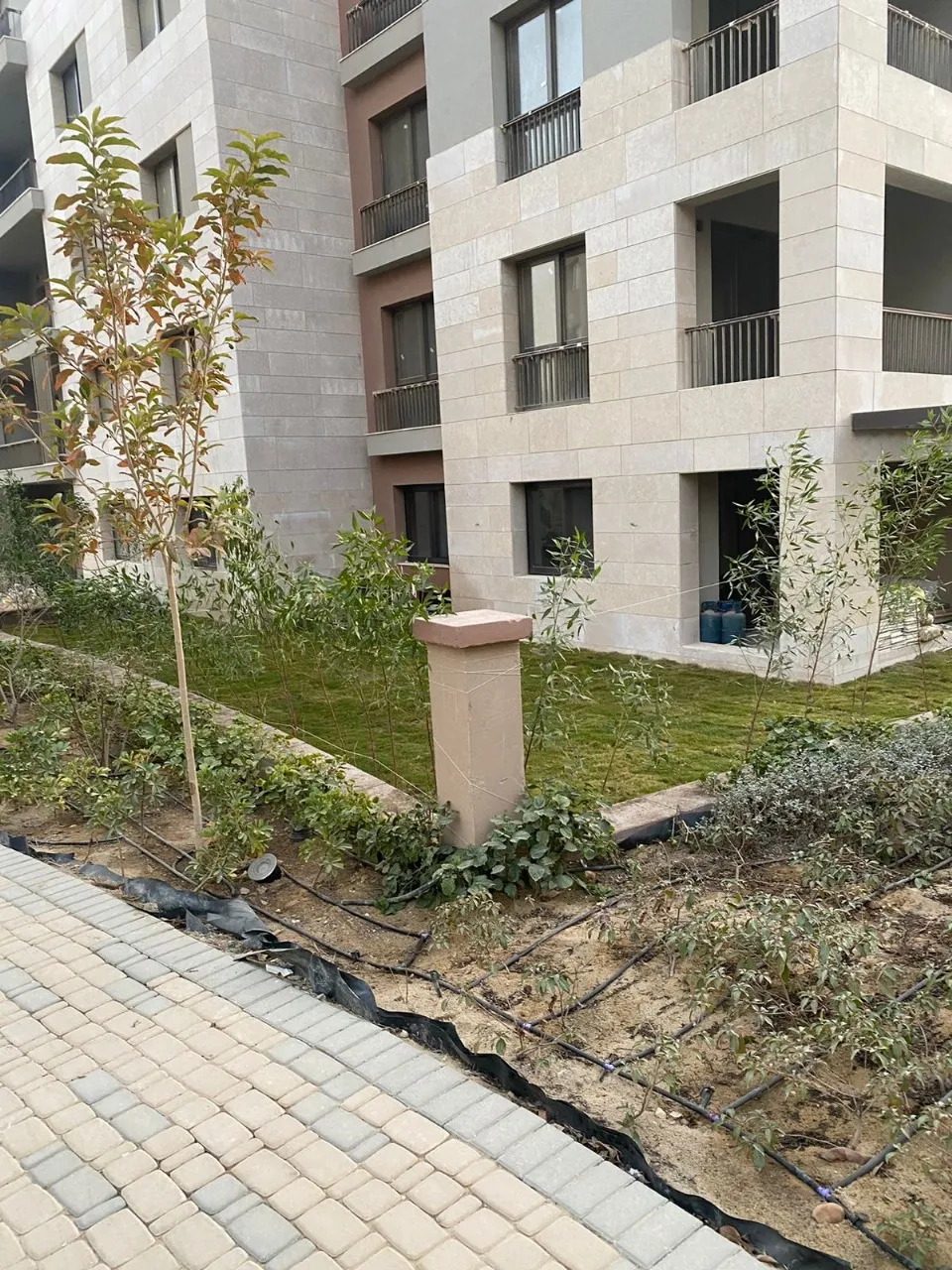 للبيع في ديستريكت 5 في بمساحة 0 م² تتكون من 0 غرف