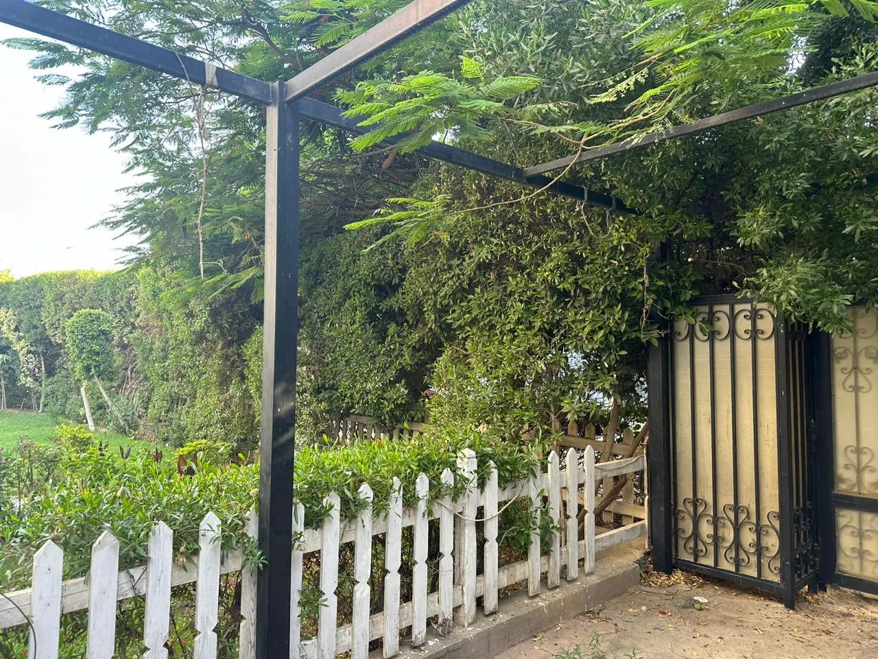  للبيع في الرحاب  في  بمساحة 0 م² تتكون من 0 غرف