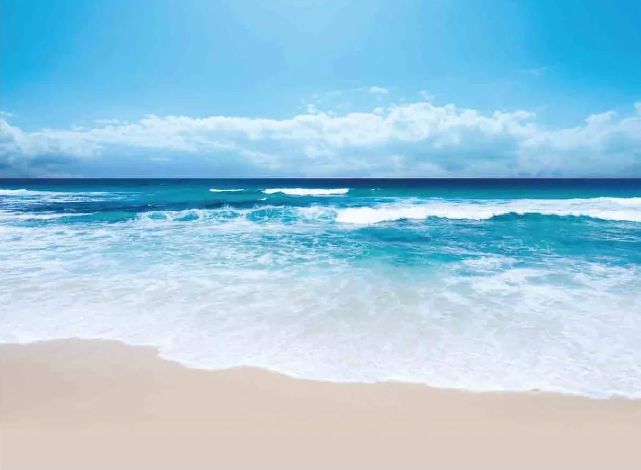 شاليه للبيع في مرسيليا بيتش 4 في الساحل الشمالي بمساحة 90 م² تتكون من 2 غرف