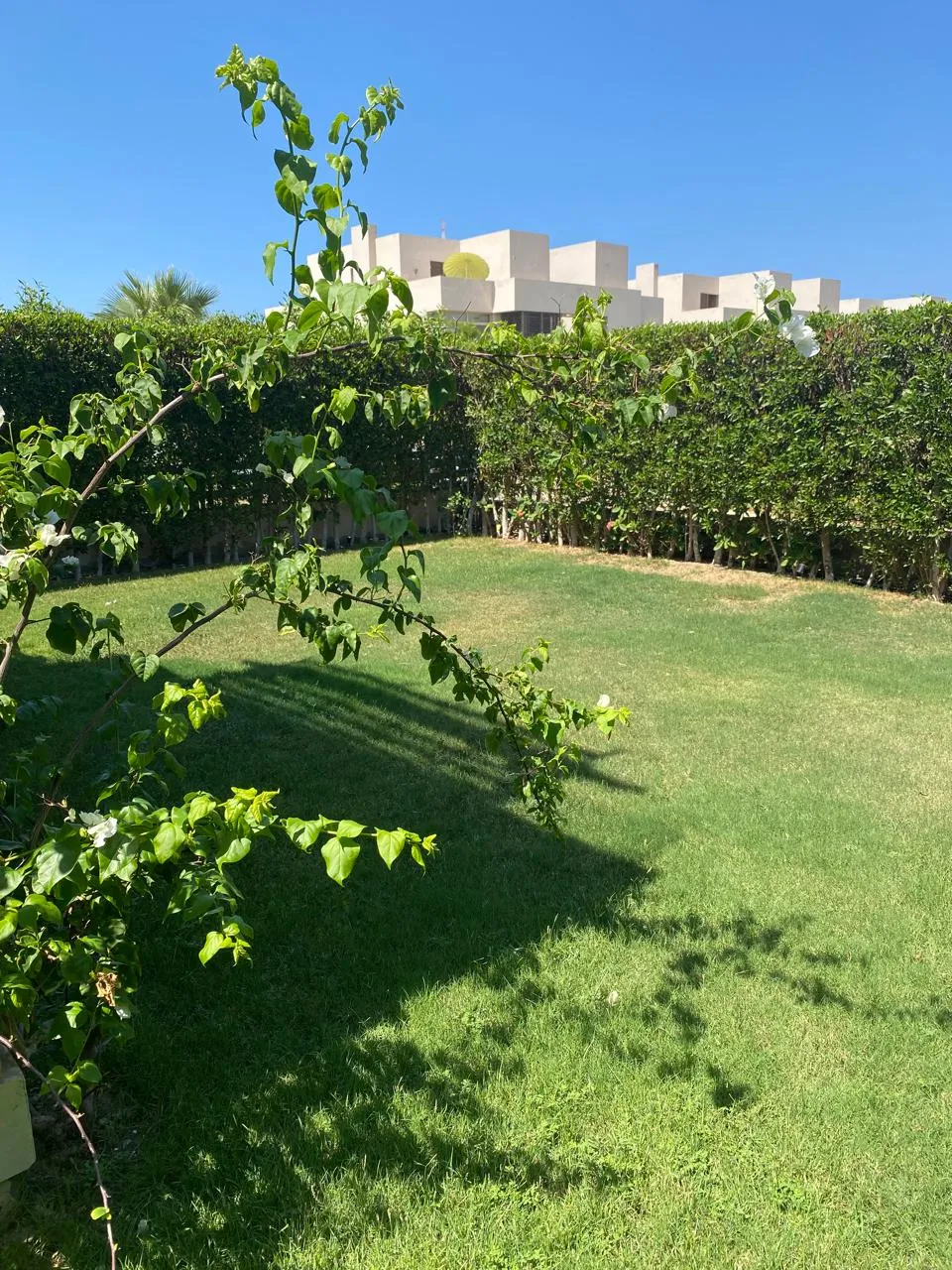 Chalet for sale in Hacienda Bay in Sidi Abdel Rahman of 170 m² with 3 bedrooms