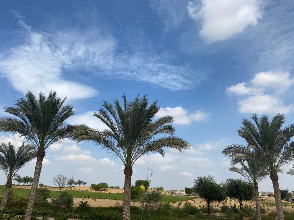 فيلا للبيع في نيو جيزة في مدينة السادس من أكتوبر بمساحة 0 م² تتكون من 3 غرف