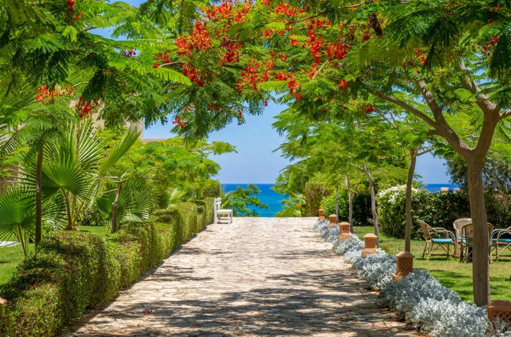 Chalet for sale in Caesar Bay in North Coast-Sahel  of 0 m² with 2 bedrooms