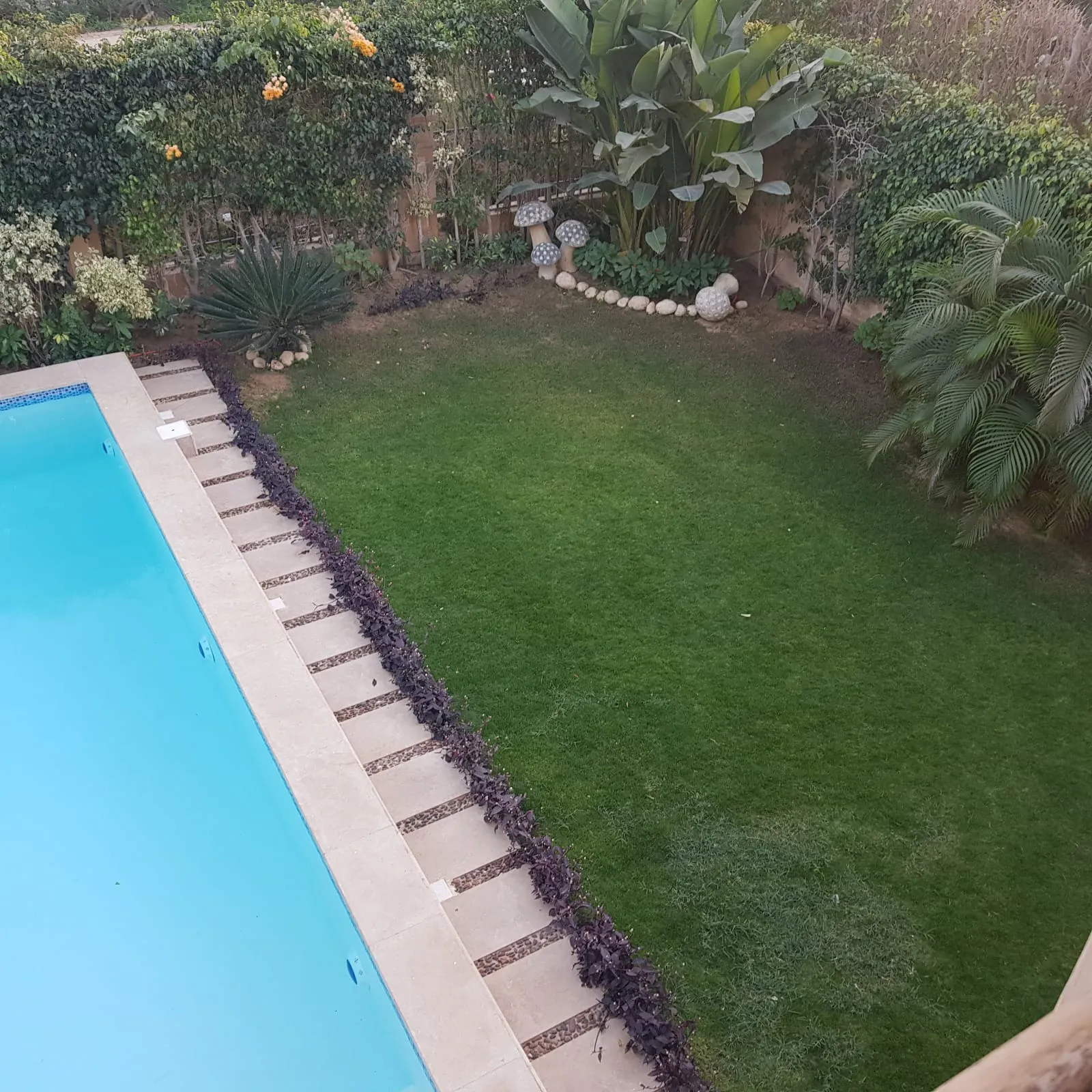 فيلا للبيع في دارا جاردينز في مدينة السادس من أكتوبر بمساحة 443 م² تتكون من 4 غرف