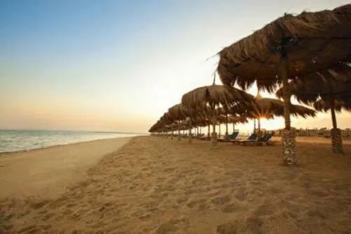 إستوديو للبيع في موسي كوست في راس سدر بمساحة 0 م² تتكون من 1 غرف