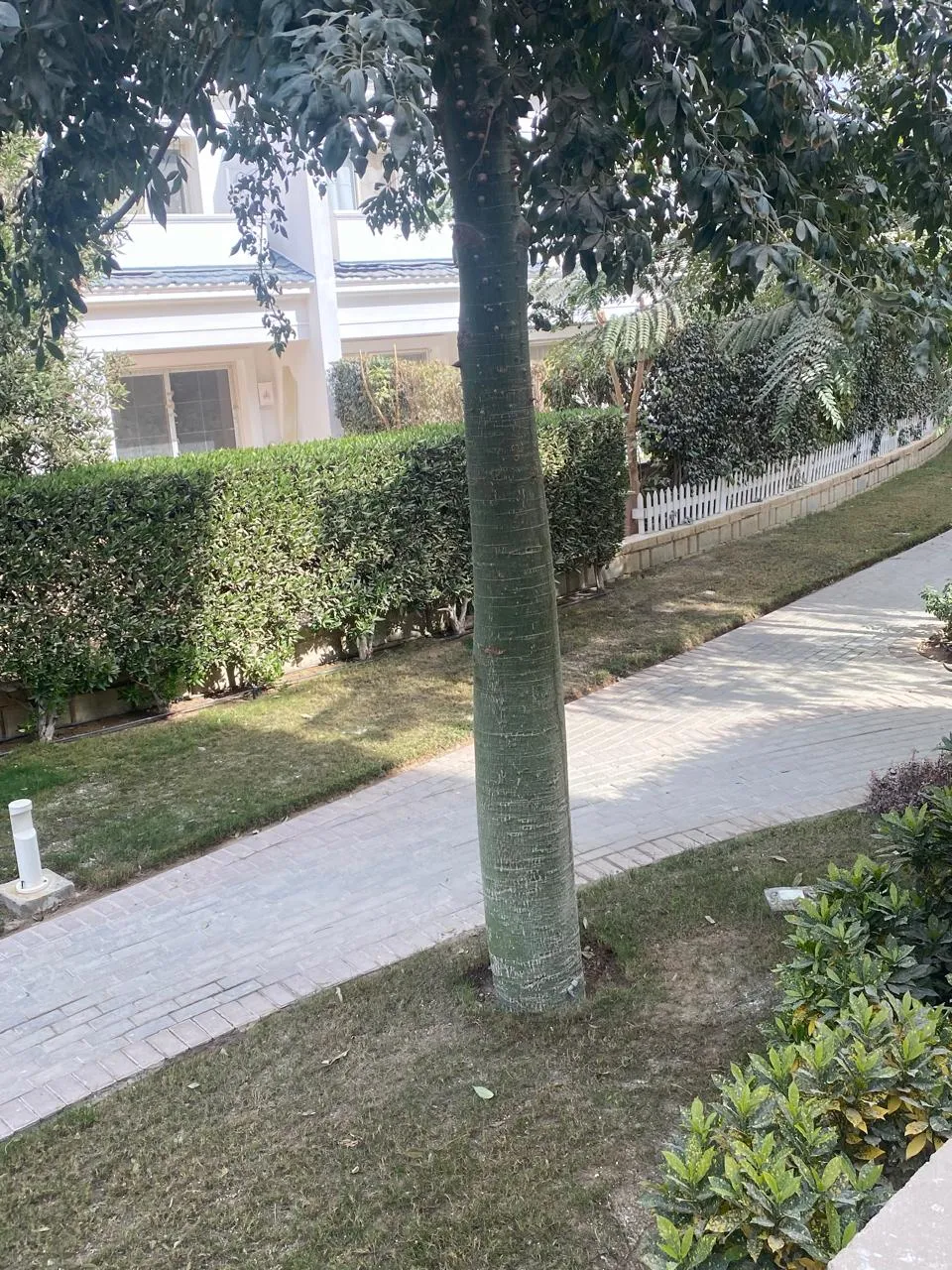  للبيع في ماونتن فيو أكتوبر بارك في  بمساحة 0 م² تتكون من 0 غرف