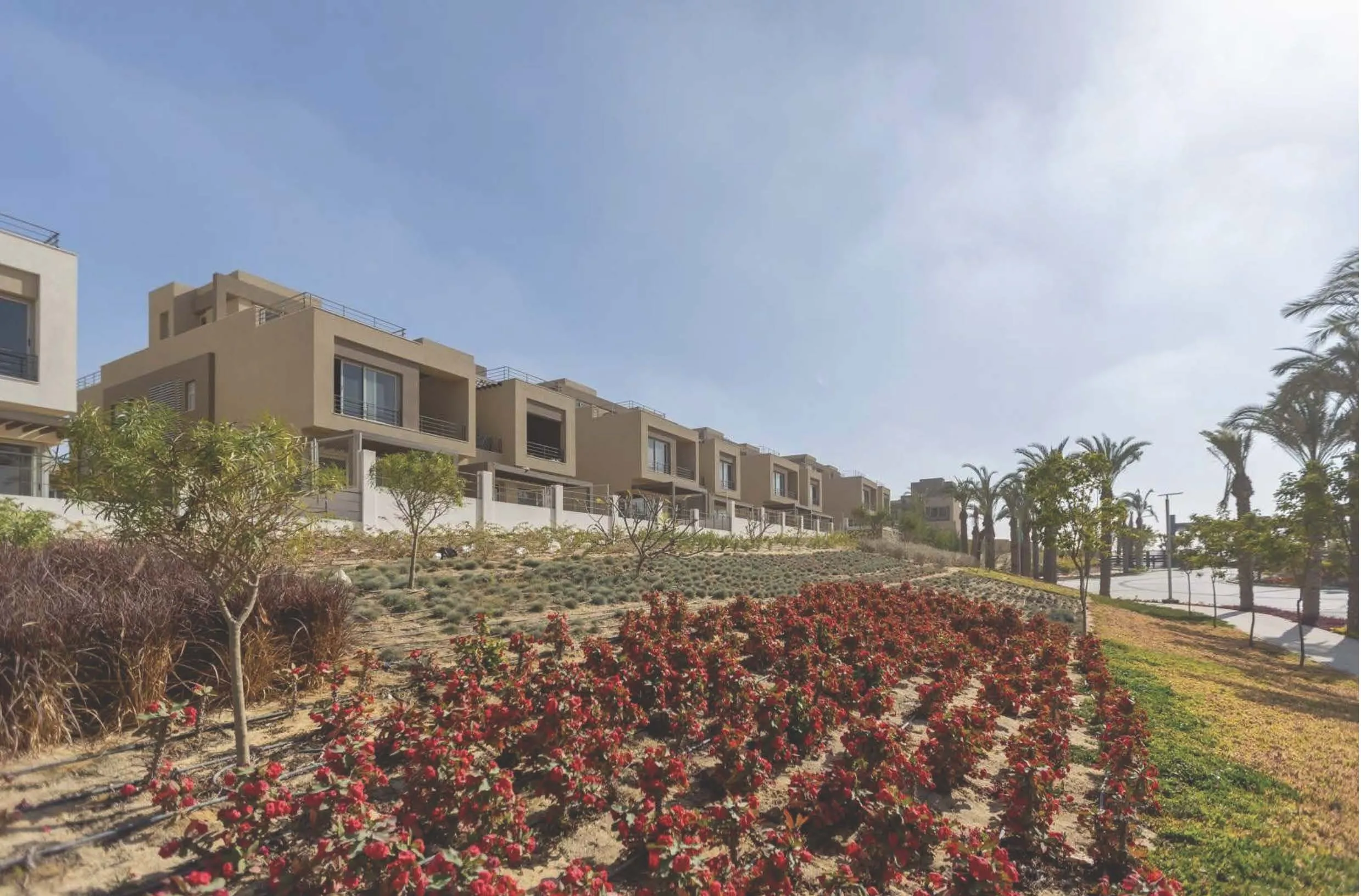 Apartment for sale in Palm Hills New Cairo in New Cairo of 172 m² with 3 bedrooms