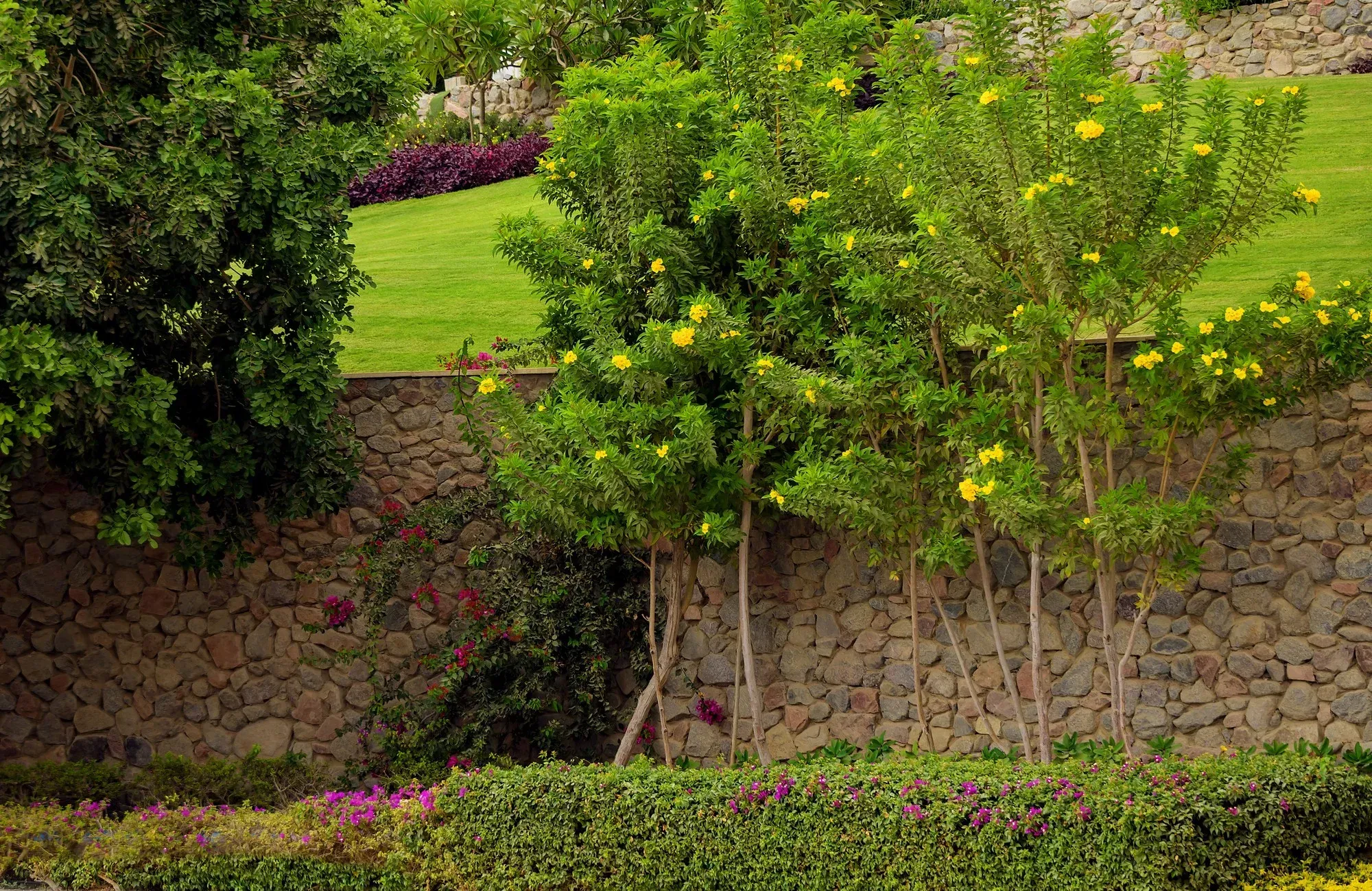 فيلا للبيع في ماونتن فيو 2 في القاهرة الجديدة بمساحة 0 م² تتكون من 4 غرف