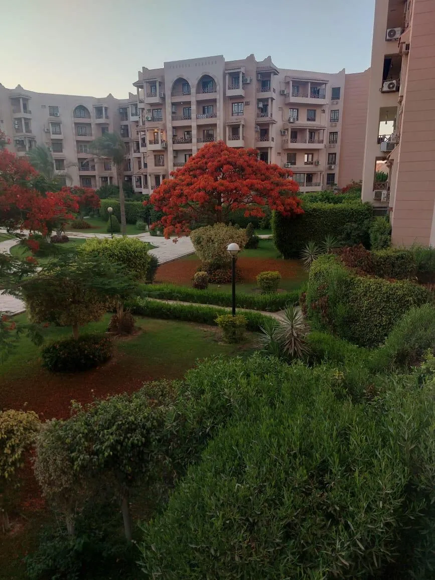  للبيع في الرحاب  في  بمساحة 0 م² تتكون من 0 غرف