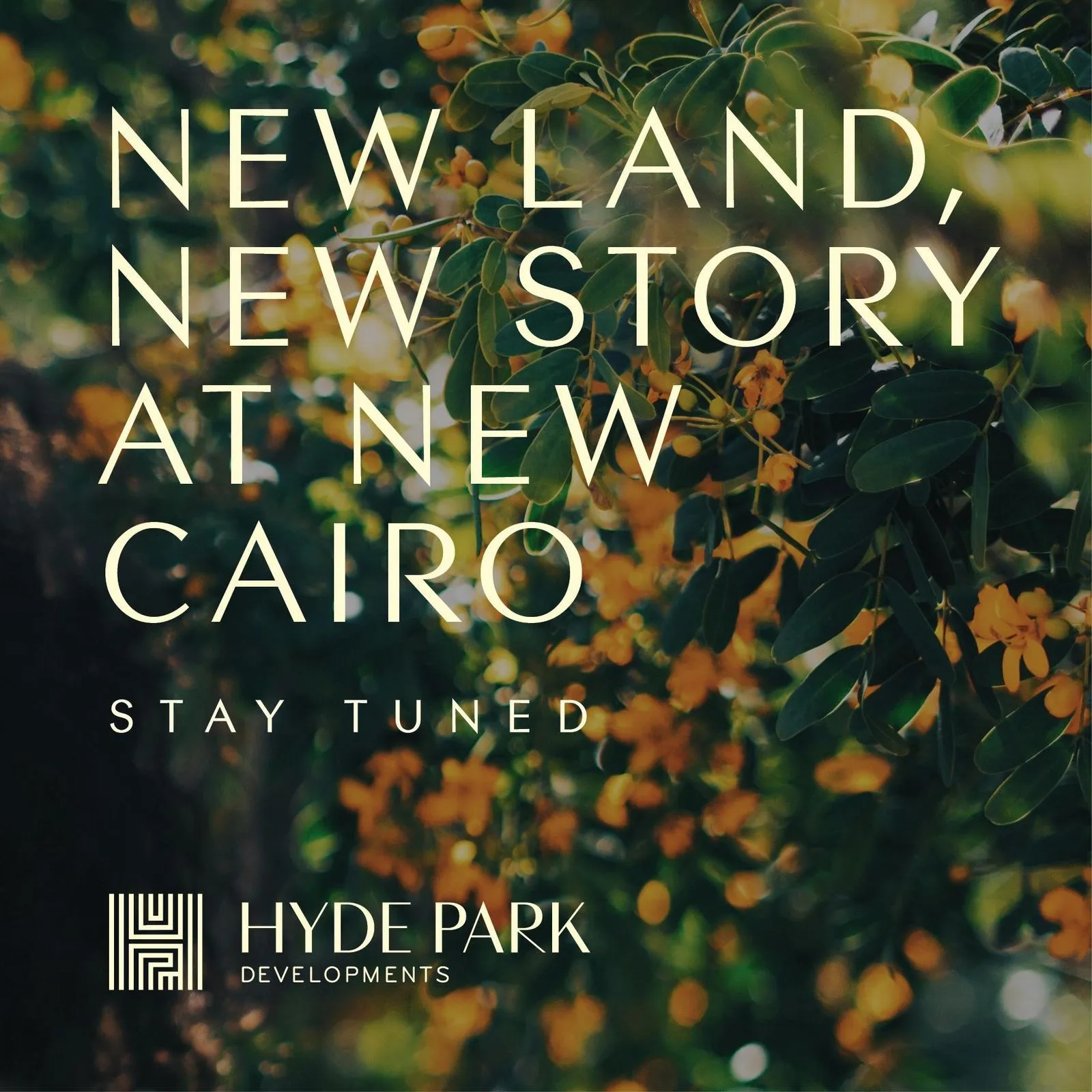  for sale in Hyde Park Central in  of 0 m² with 0 bedrooms