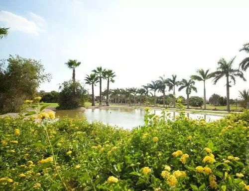 فيلا للبيع في وادي النخيل في الشيخ زايد الجديدة بمساحة 245 م² تتكون من 3 غرف