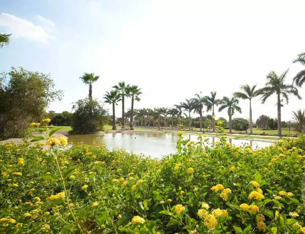 فيلا للبيع في وادي النخيل في الشيخ زايد الجديدة بمساحة 245 م² تتكون من 3 غرف