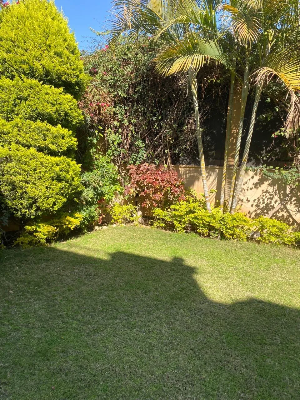 Twinhouse for sale in Acasia in New Cairo of 216 m² with 4 bedrooms