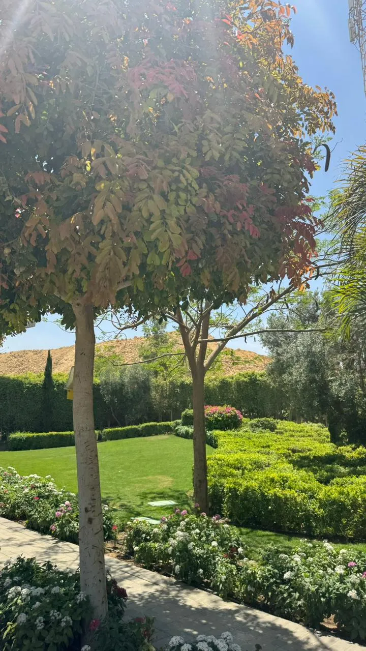 شقة للبيع في ماونتن فيو أي سيتي أكتوبر في التوسعات الشمالية بمساحة 145 م² تتكون من 2 غرف