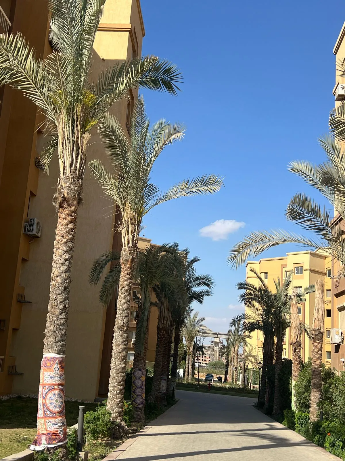 للبيع في اشجار سيتي في بمساحة 0 م² تتكون من 0 غرف