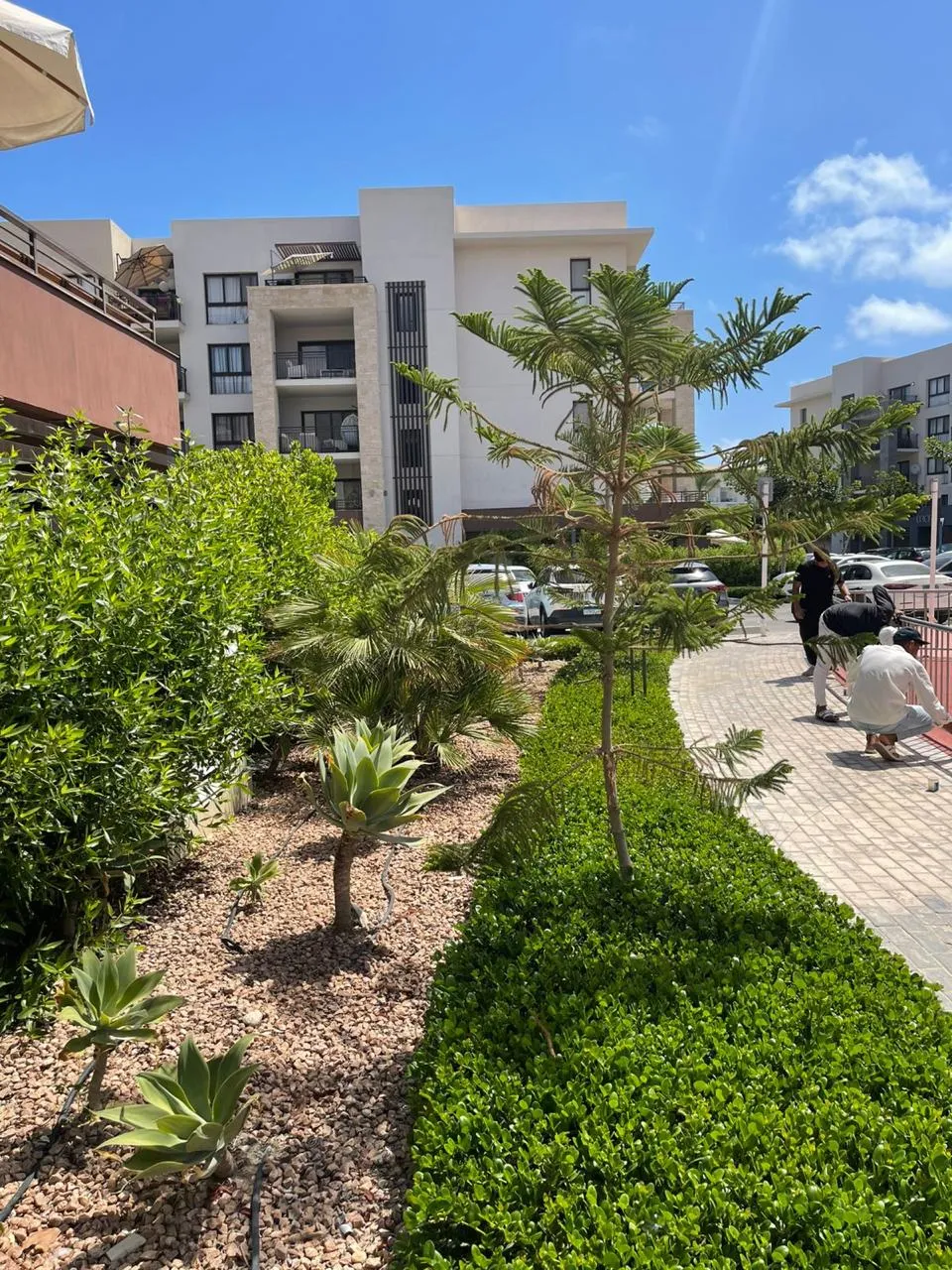  للبيع في مراسي في  بمساحة 0 م² تتكون من 0 غرف