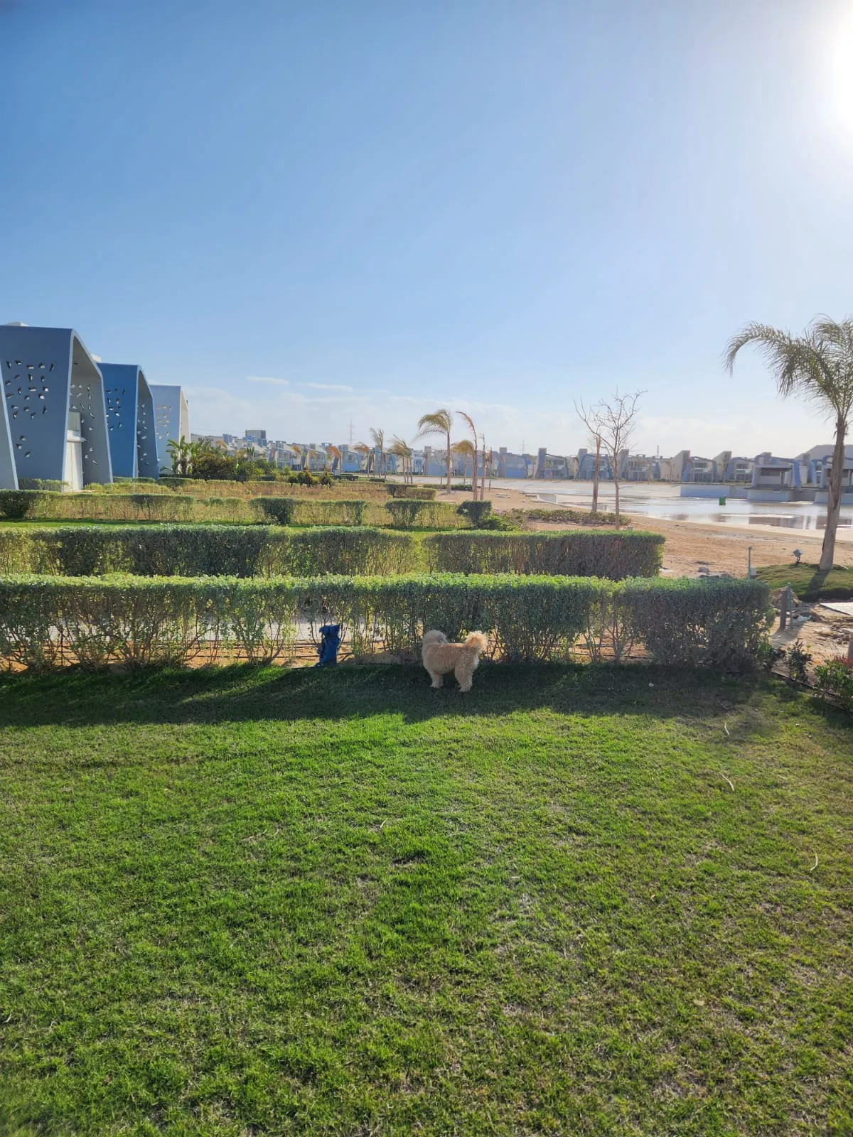 Villa for sale in Fouka Bay in Ras El Hekma of 282 m² with 4 bedrooms