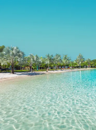 Serviced Apartment for sale in Beach Residence-June in Ras El Hekma of 190 m² with 4 bedrooms