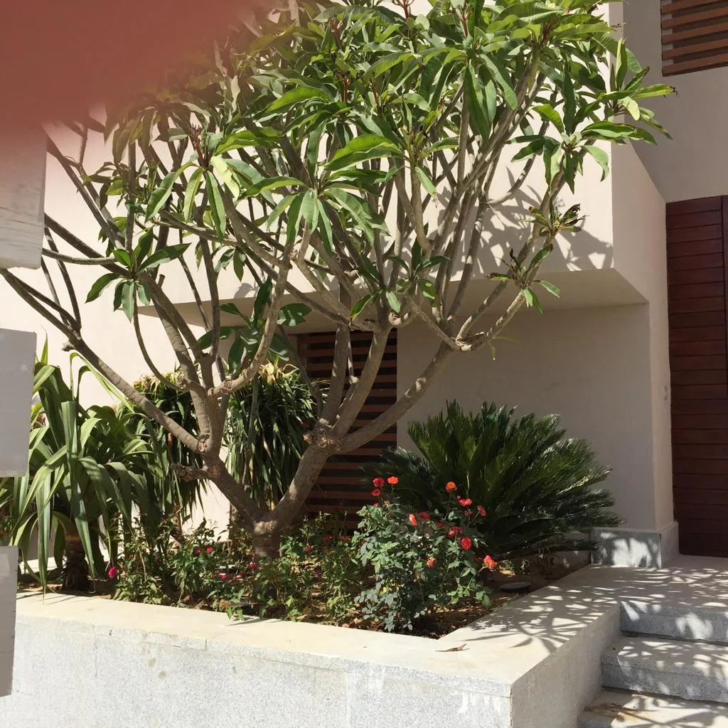 Villa for sale in Hacienda Bay in Sidi Abdel Rahman of 291 m² with 5 bedrooms