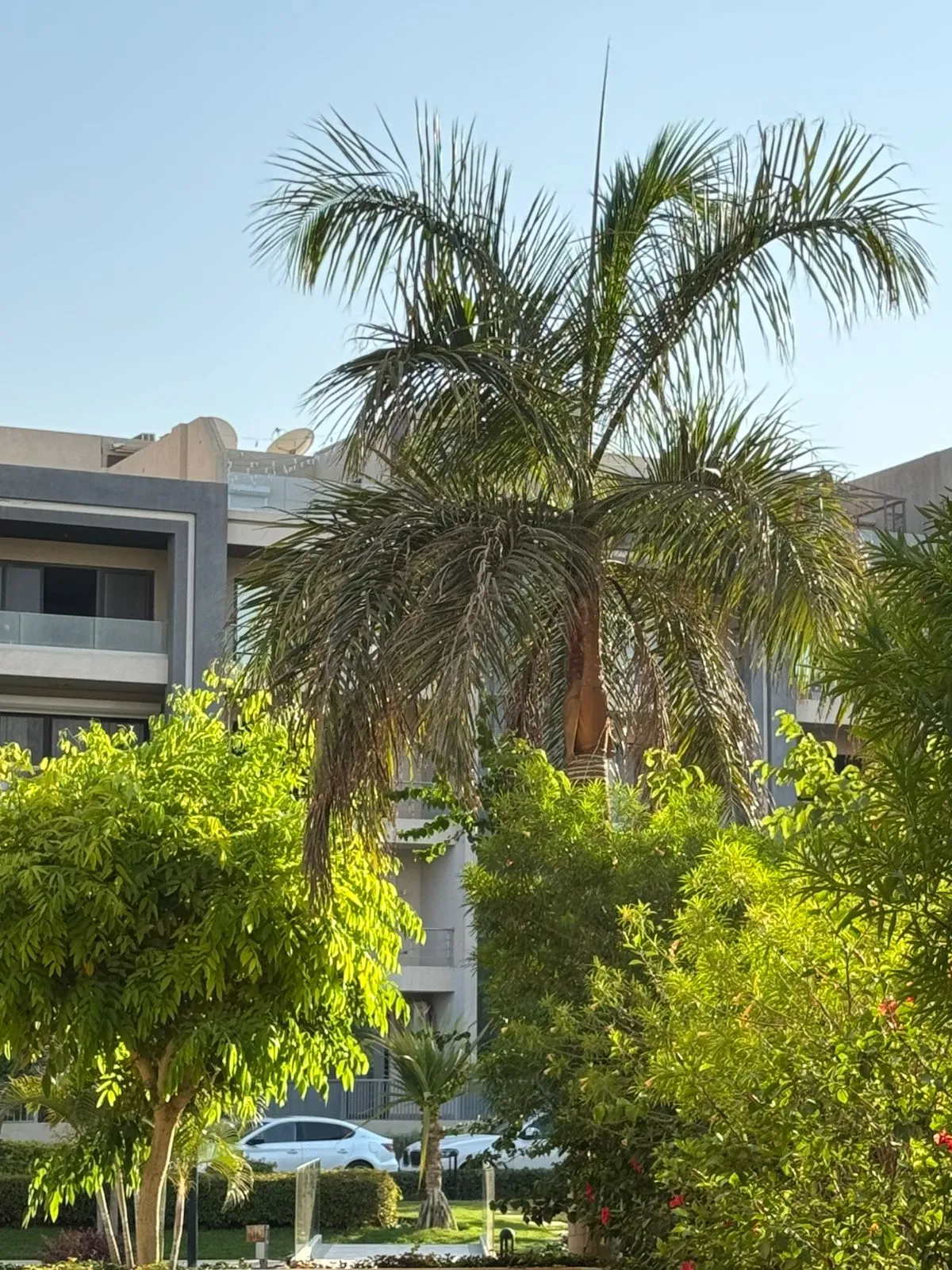 Apartment for sale in Midtown New Cairo in South Investors of 135 m² with 2 bedrooms