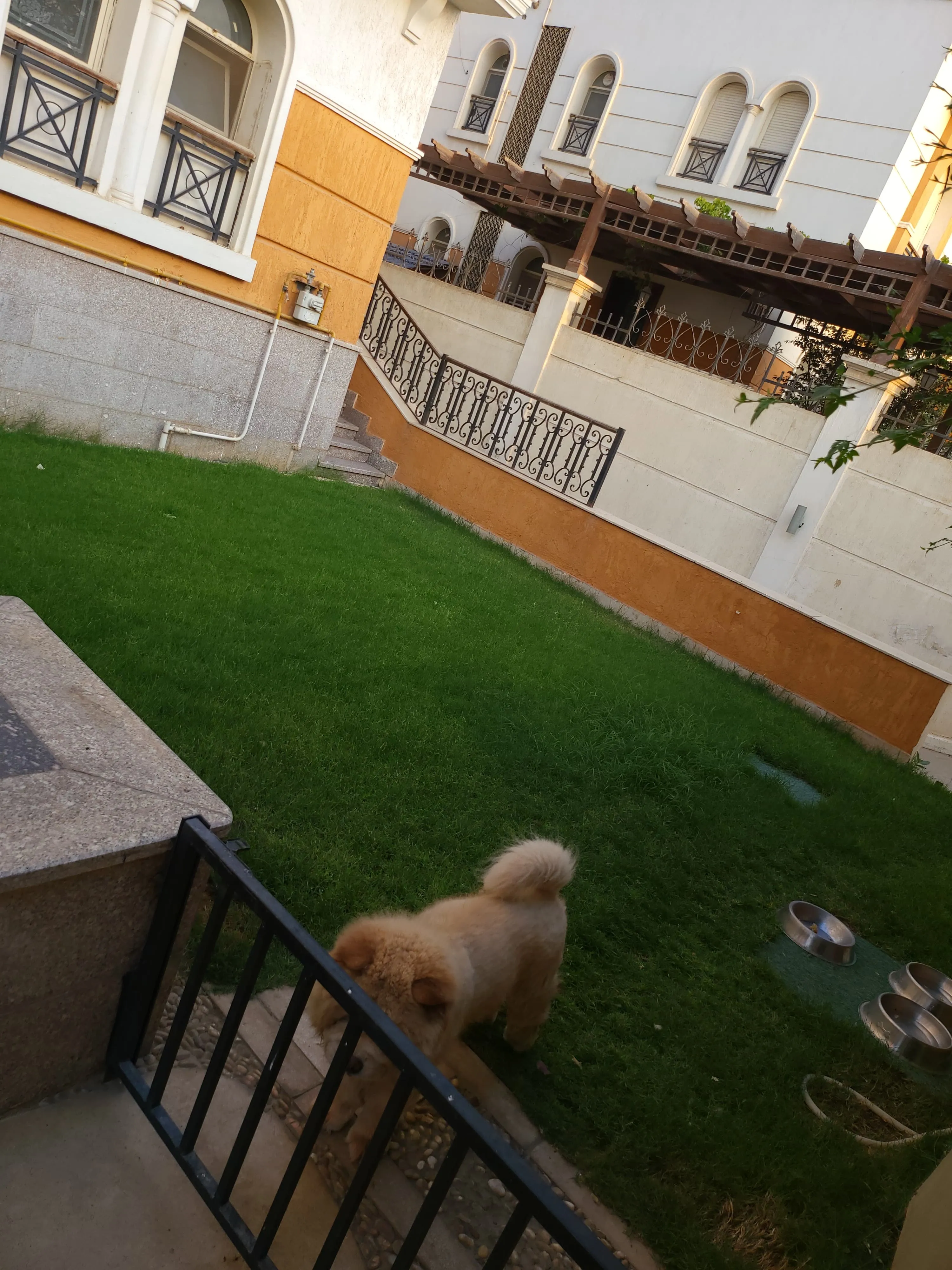  for sale in Dyar Mokhabarat in  of 0 m² with 0 bedrooms