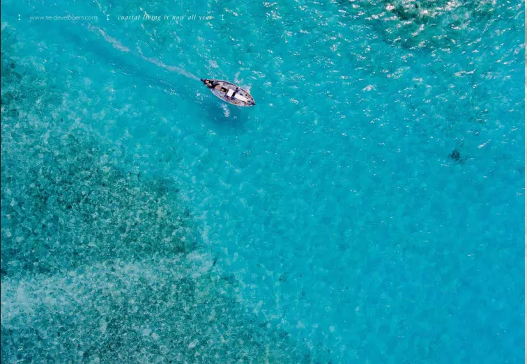  للبيع في  SED الحي اللاتيني   في  بمساحة 0 م² تتكون من 0 غرف