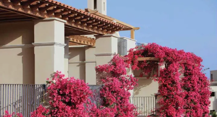  for sale in Veranda  Sahl Hasheesh in  of 0 m² with 0 bedrooms