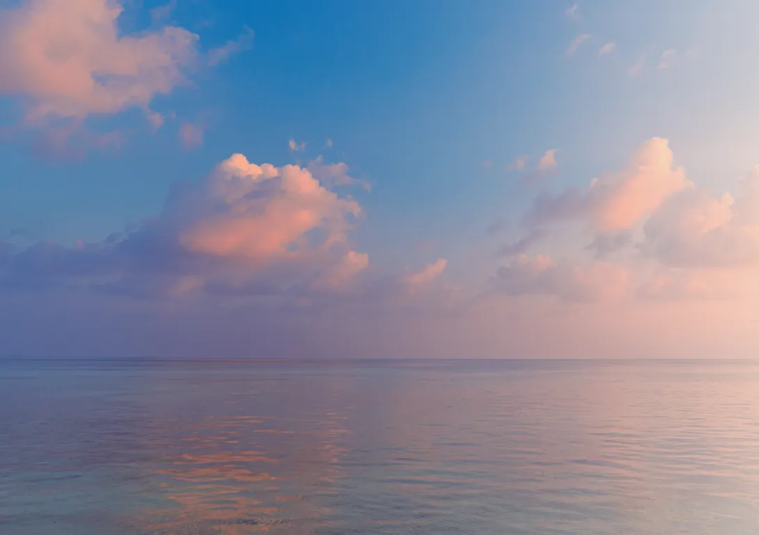  للبيع في ساوث ميد  في  بمساحة 0 م² تتكون من 0 غرف