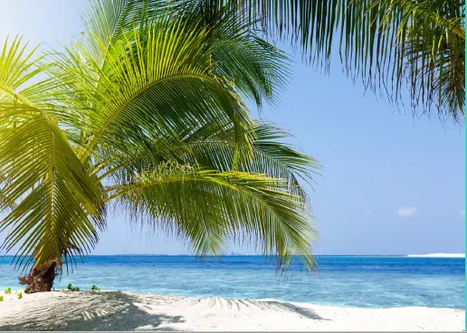 Villa for sale in Cali Coast Ras El Hekma in Ras El Hekma of 0 m² with 4 bedrooms