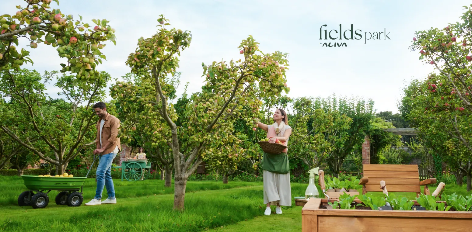 Apartment for sale in Aliva Mountain View Mostakbal City in Mostakbal City of 145 m² with 3 bedrooms