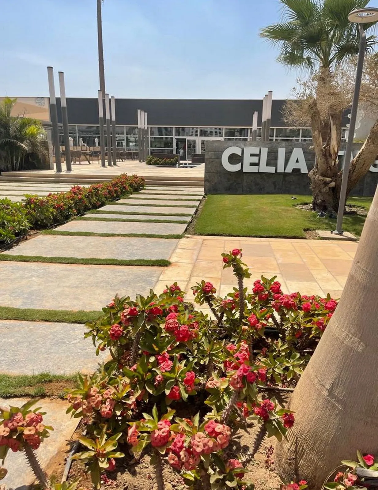 Apartment for sale in Celia in New Capital City of 74 m² with 1 bedrooms