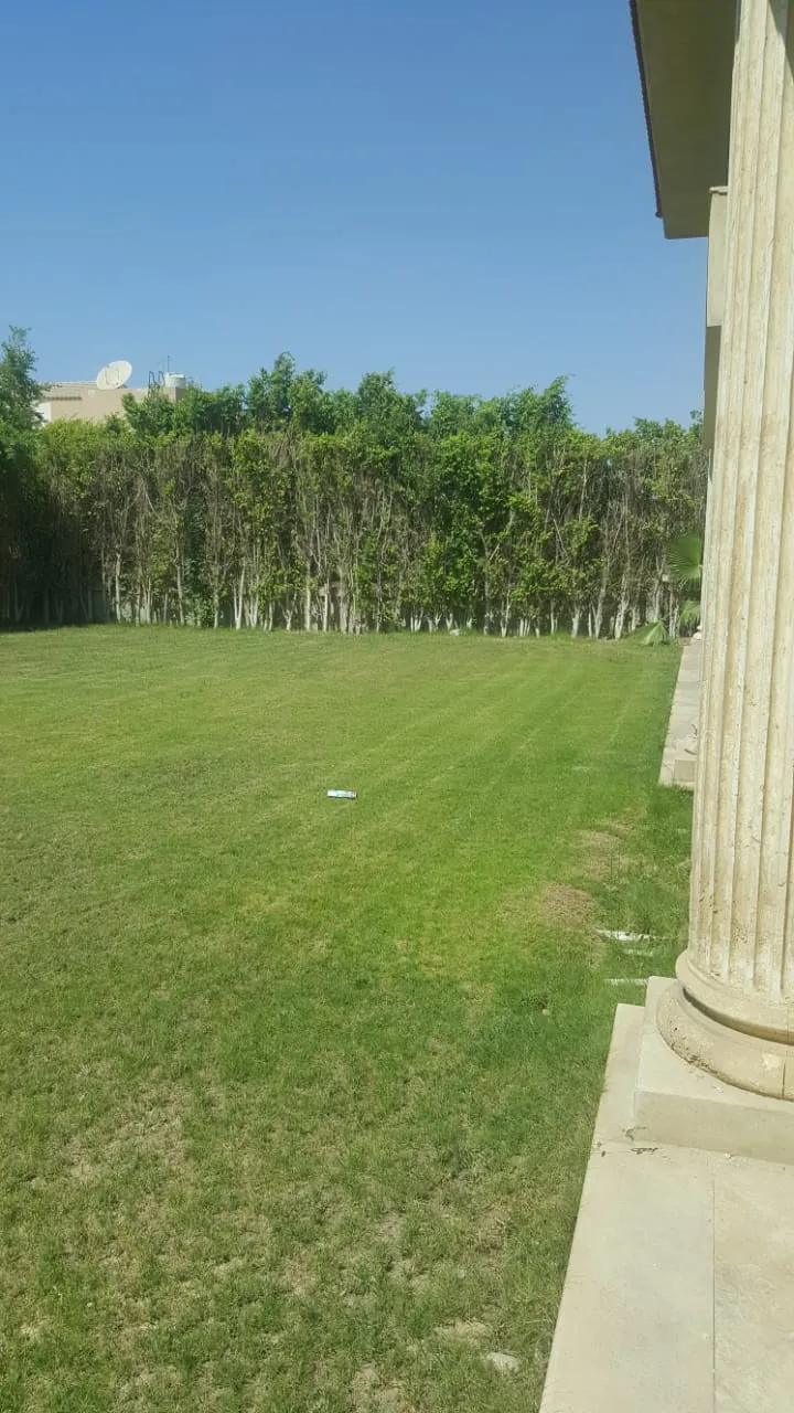  for sale in El Safwa in  of 0 m² with 0 bedrooms