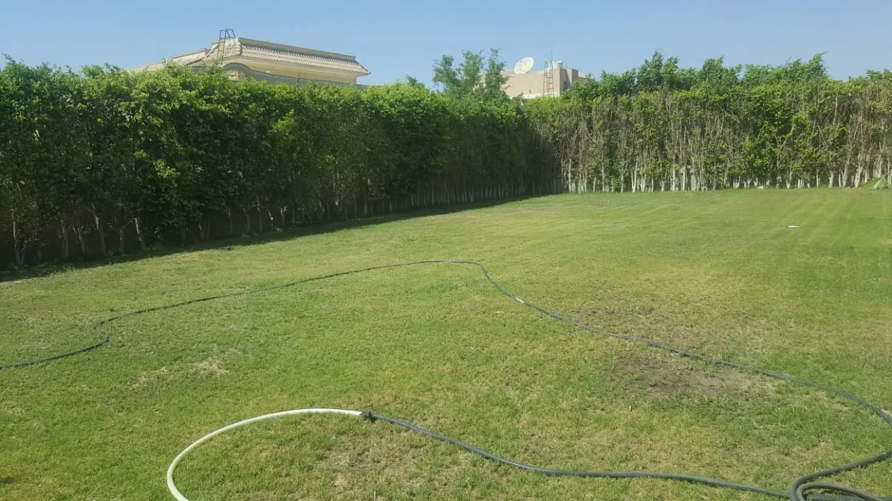  for sale in El Safwa in  of 0 m² with 0 bedrooms