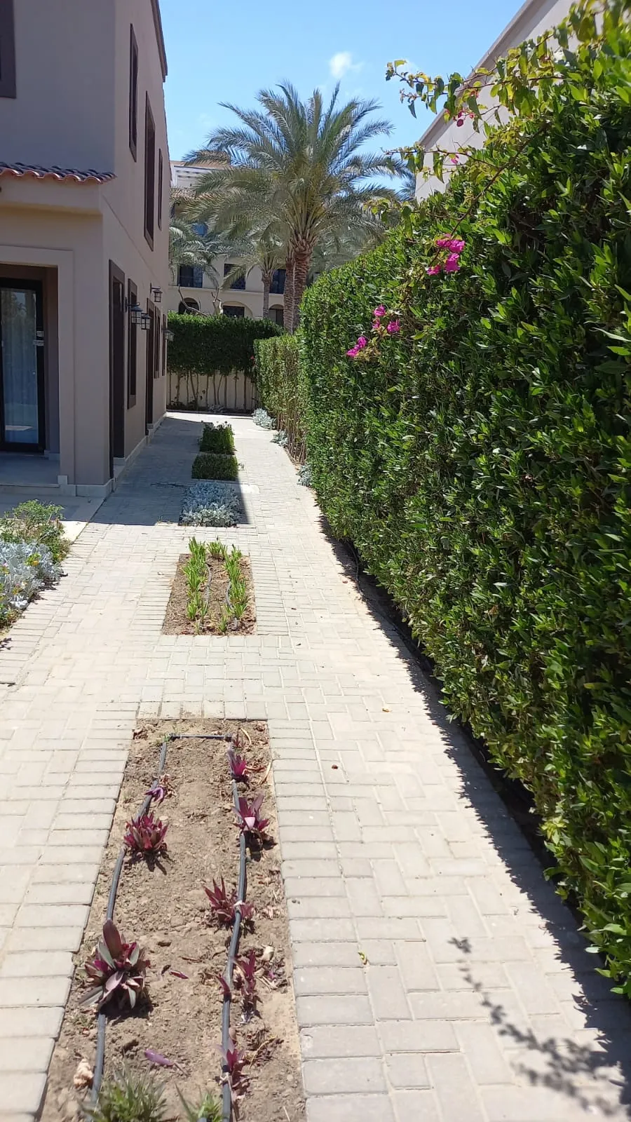 Twinhouse for sale in Marassi in Sidi Abdel Rahman of 0 m² with 3 bedrooms