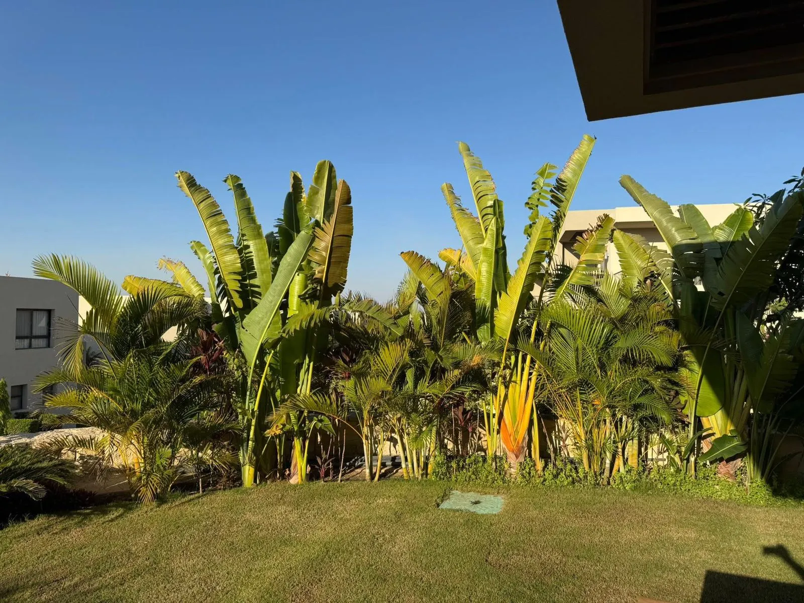  للبيع في أزها في  بمساحة 0 م² تتكون من 0 غرف