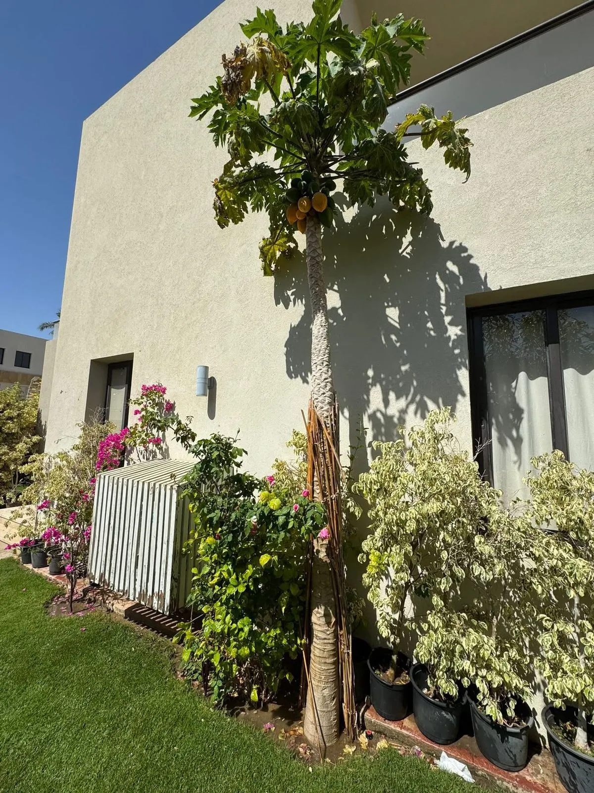  للبيع في أزها في  بمساحة 0 م² تتكون من 0 غرف