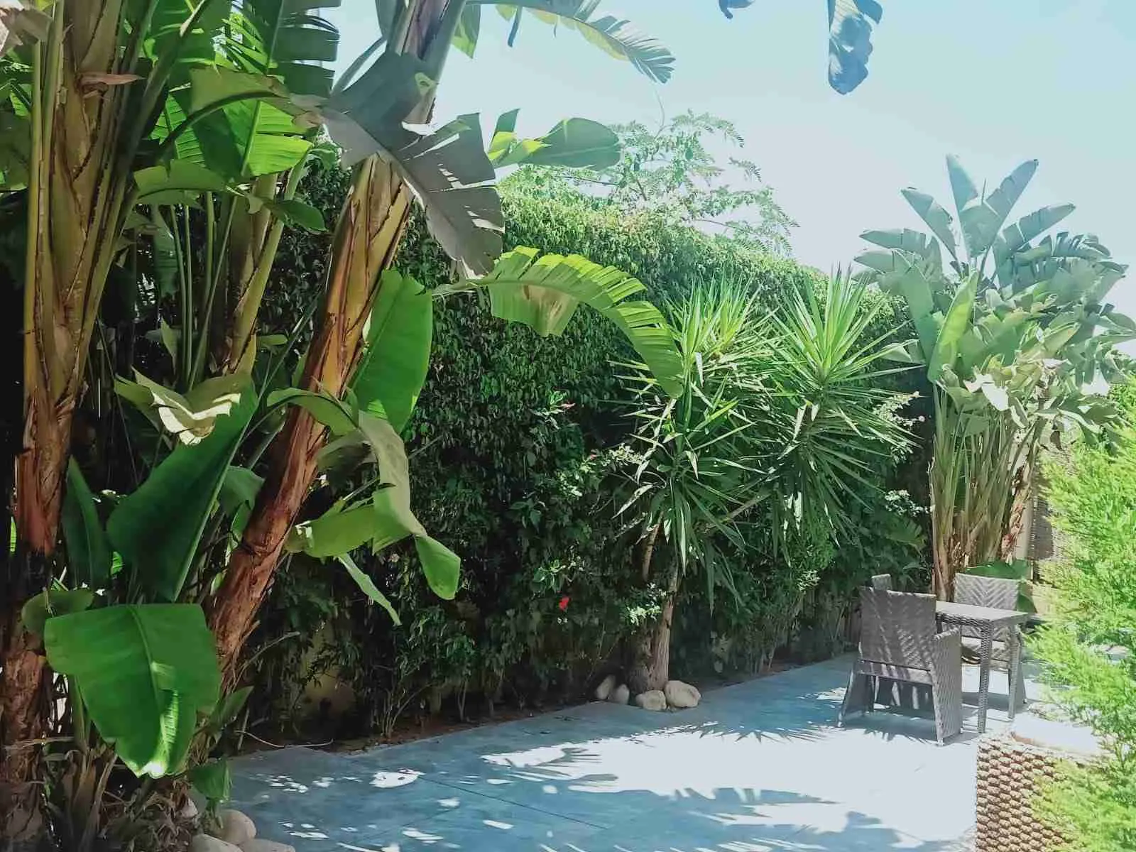  for sale in Allegria in  of 0 m² with 0 bedrooms