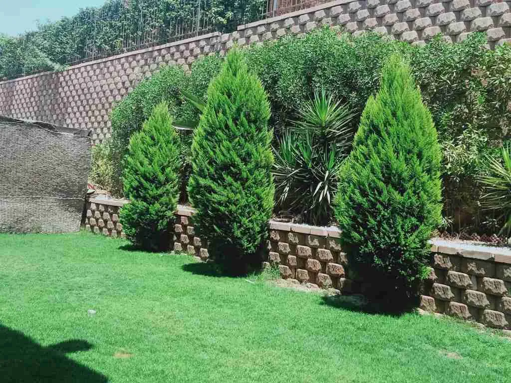  for sale in Allegria in  of 0 m² with 0 bedrooms