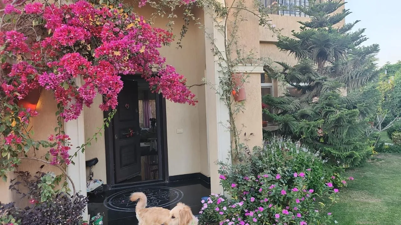  for sale in Stone Park in  of 0 m² with 0 bedrooms