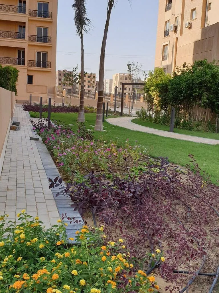  للبيع في ديار  في  بمساحة 0 م² تتكون من 0 غرف