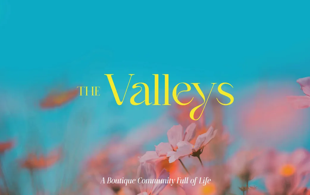  للبيع في زا فاليز في  بمساحة 0 م² تتكون من 0 غرف